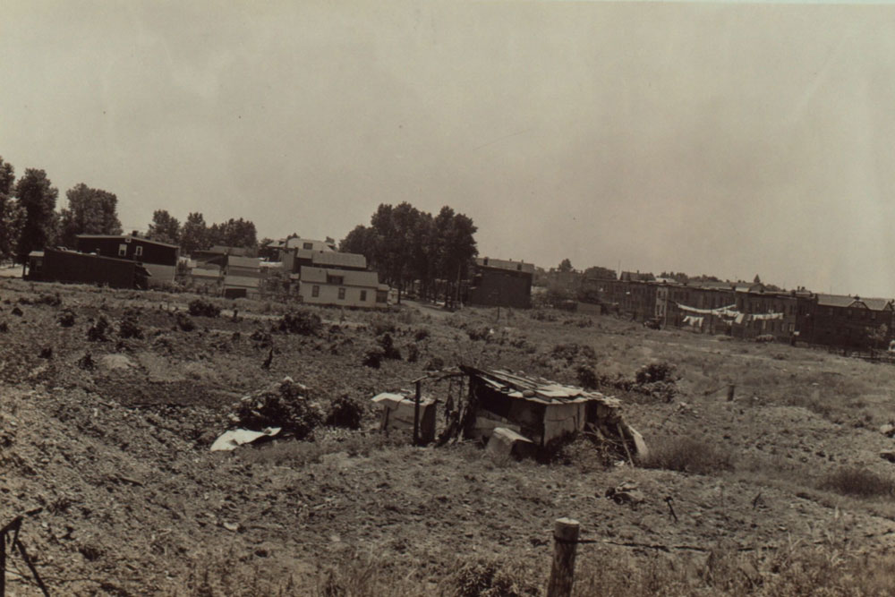 middle village 2